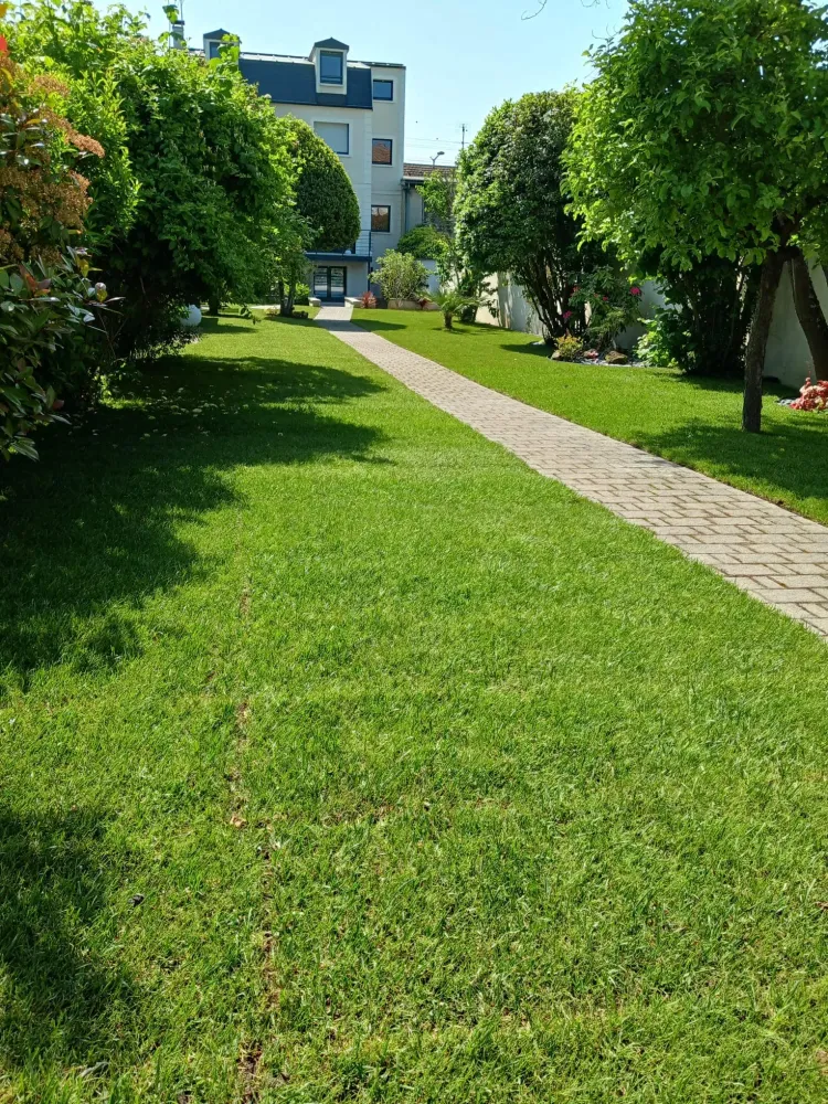 Entretien de jardin près de Dourdan